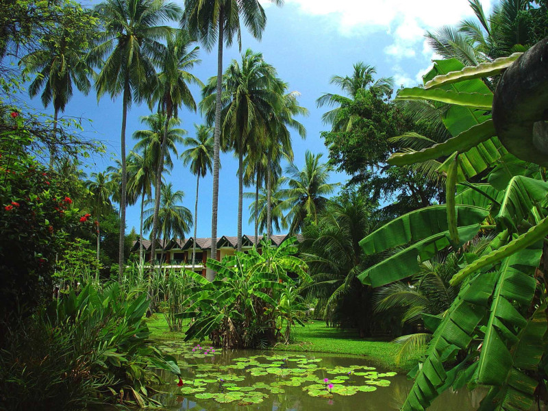 Duangjitt Resort & Spa