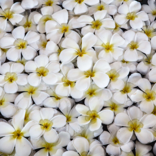 Tangerine Beach Hotel