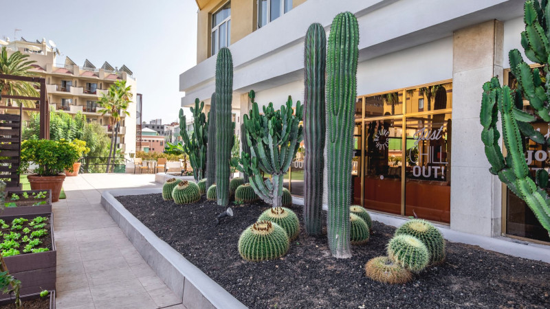 Be Live Adults Only Tenerife