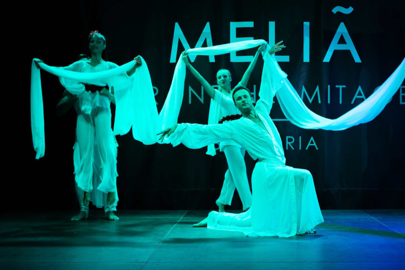 Meliá Grand Hermitage