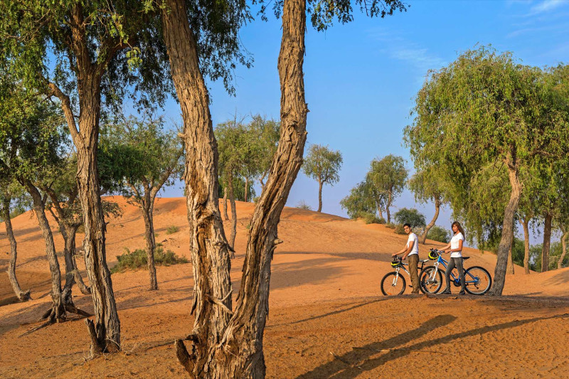 The Ritz-Carlton Ras Al Khaimah, Al Wadi Desert