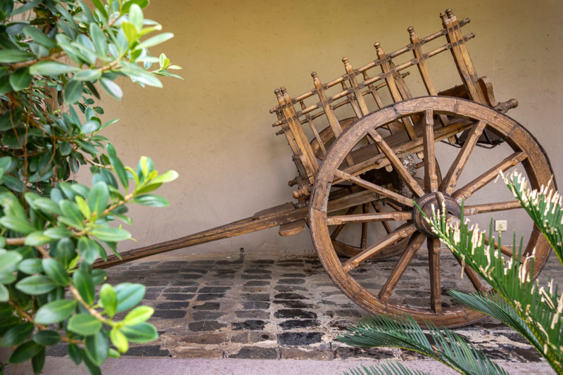 Royal Palms Beach Hotel