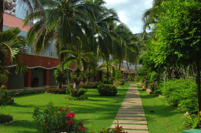 Patong Resort