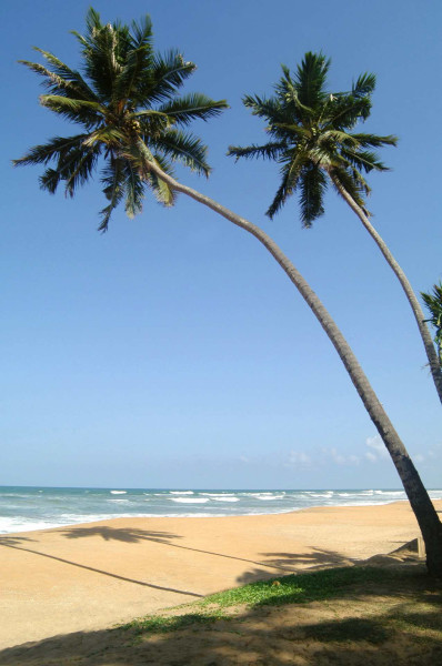 Mermaid Hotel und Club