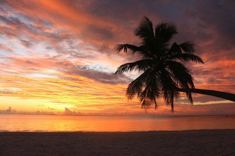 Canareef Resort Maldives