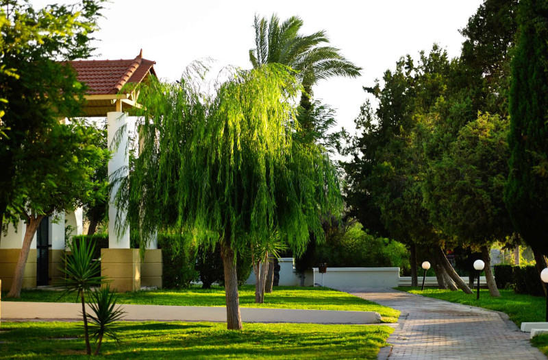 Mitsis Rodos Maris Resort & Spa