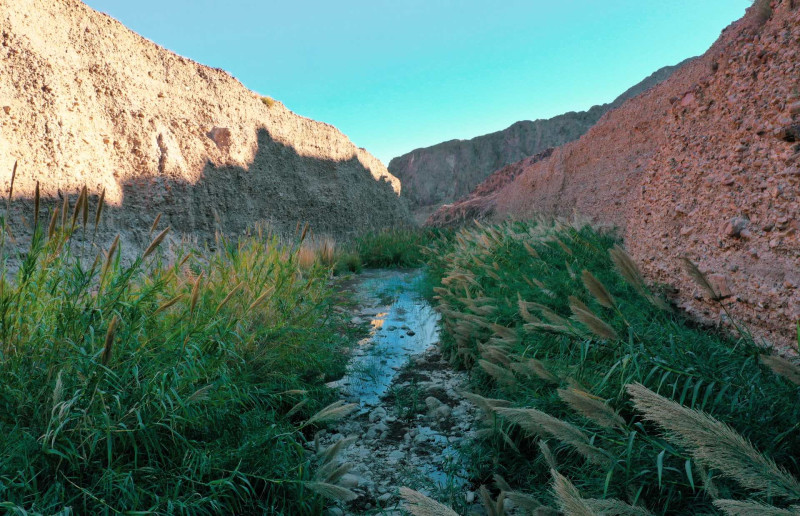 ADDRESS Beach Resort Fujairah