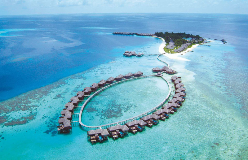 Coco Bodu Hithi