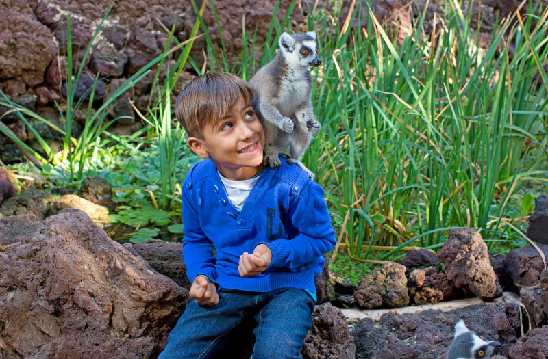 Aldiana Club Fuerteventura