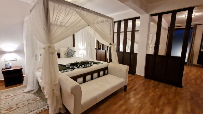 Dream of Zanzibar