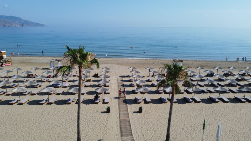 Delfina Tropic Beach