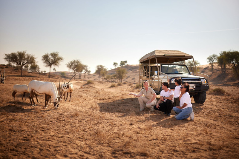 The Ritz-Carlton Ras Al Khaimah, Al Wadi Desert