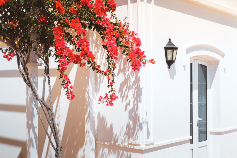 Apartamentos LIVVO Coloradamar