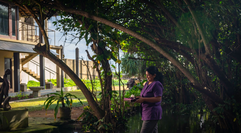 Tangerine Beach Hotel