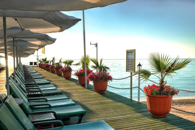 Gypsophila Club Marine