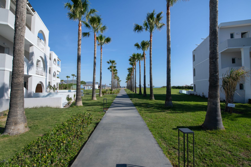 Delfina Tropic Beach