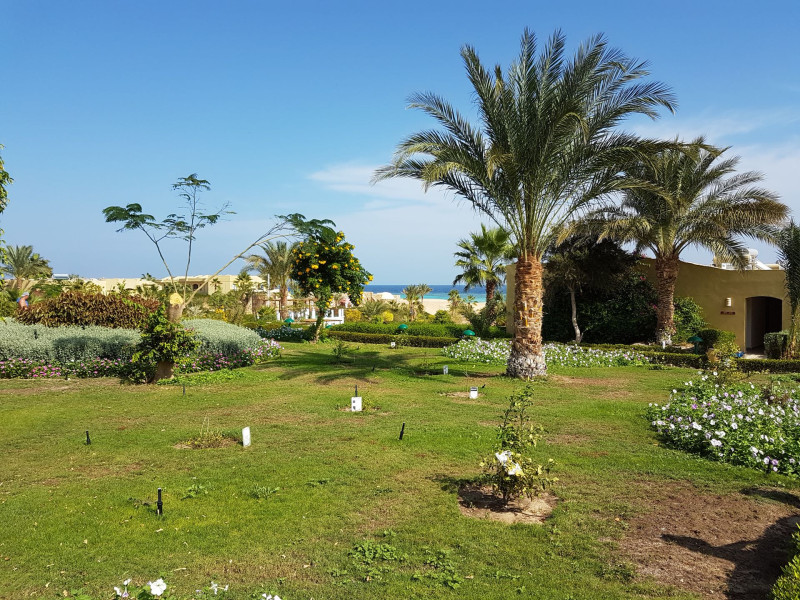 Three Corners Fayrouz Plaza Beach Resort