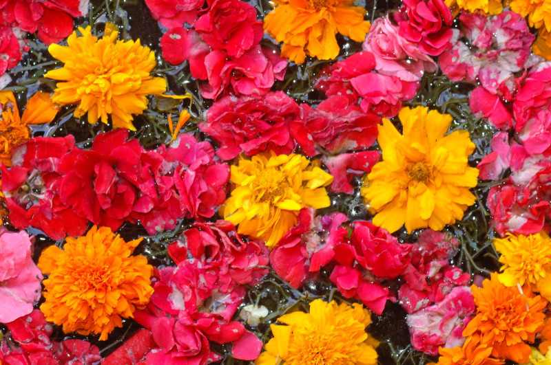 Alam Anda Ocean Front Resort & Spa