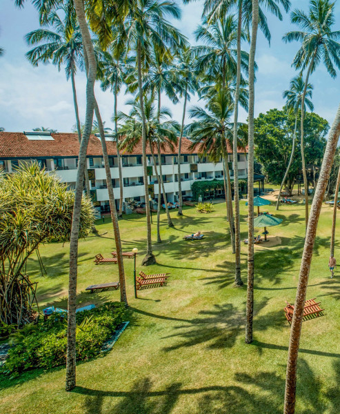 Tangerine Beach Hotel