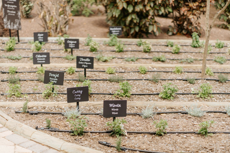 R2 Rio Calma Hotel & Spa