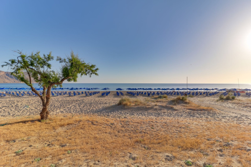 Mare Monte