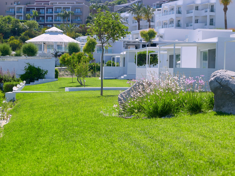 Dimitra Beach Hotel & Suites