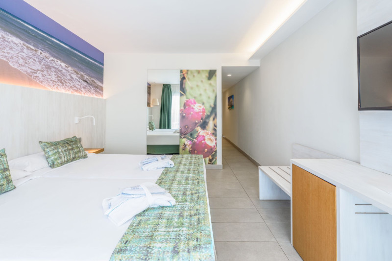 FERGUS Cactus Garden