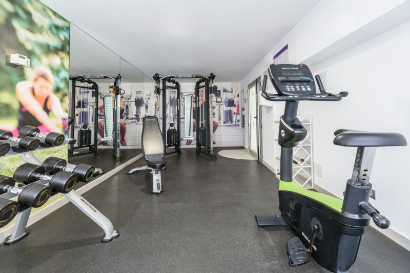 FERGUS Cactus Garden