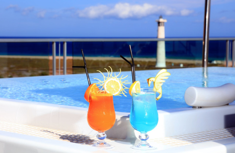 FERGUS Cactus Garden