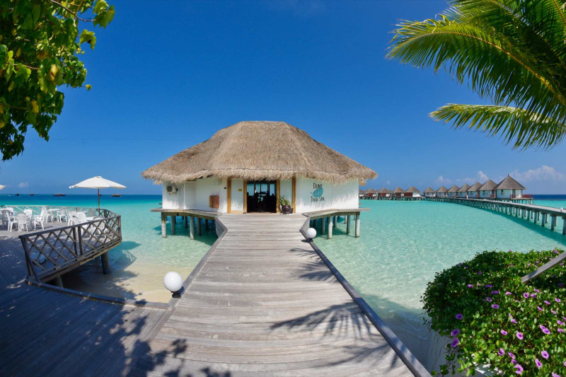 Safari Island Resort & Spa