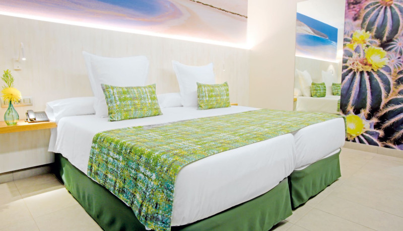 FERGUS Cactus Garden