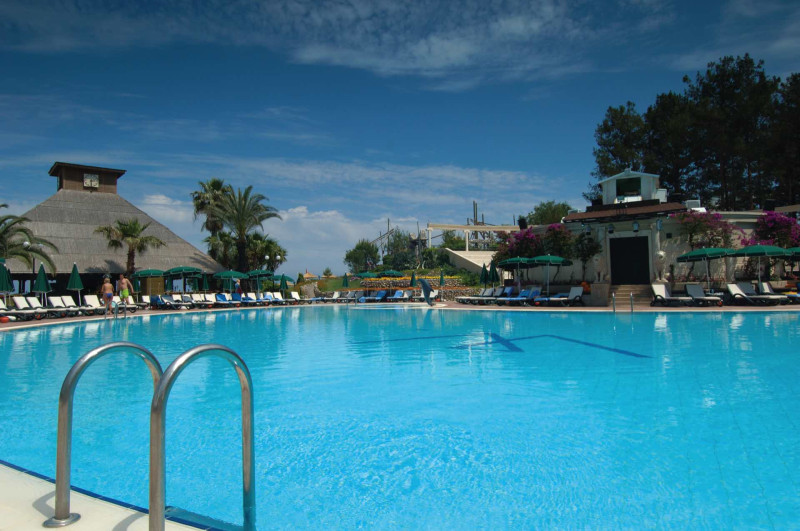 Gypsophila Club Marine