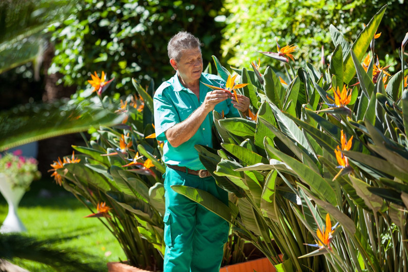 Ambassador Appartements