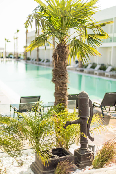 White Dreams Resort