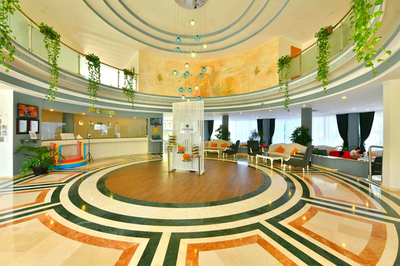 Gypsophila Club Marine