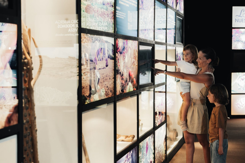 Barceló Tenerife Royal Level