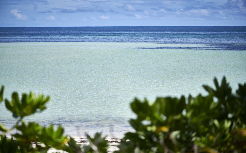 Canopy by Hilton Seychelles