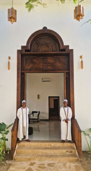 Dream of Zanzibar