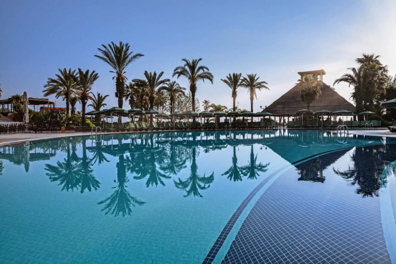 Gypsophila Club Marine