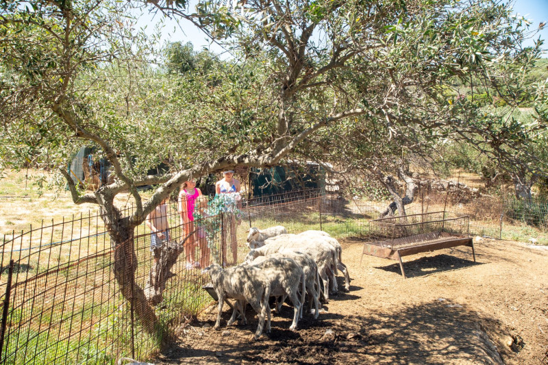 Almyrida Village & Waterpark