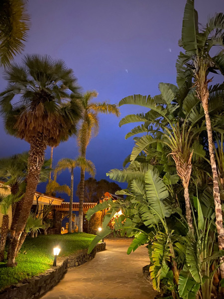 Tigaiga Suites Apartments