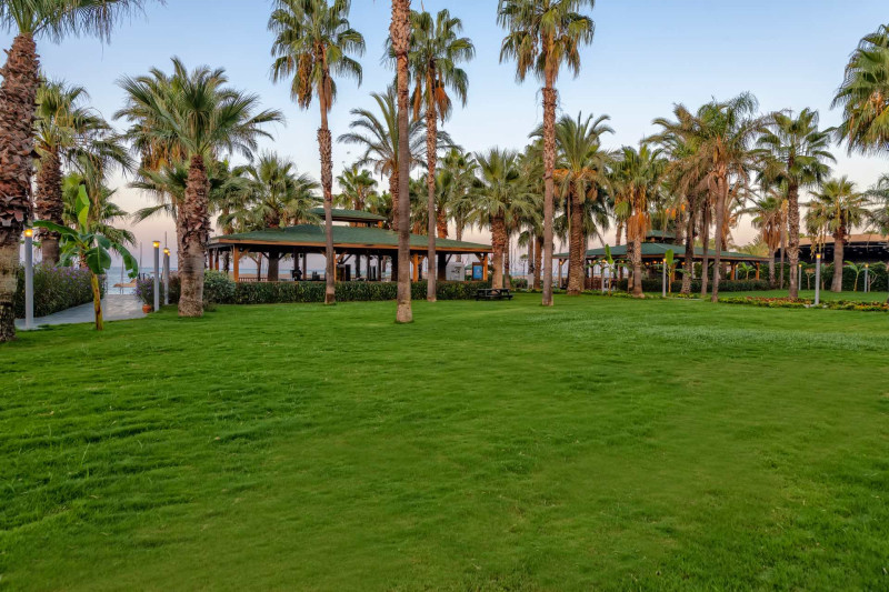 Leodikya Kirman Premium