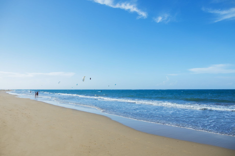 Viva Tangerine by Wyndham