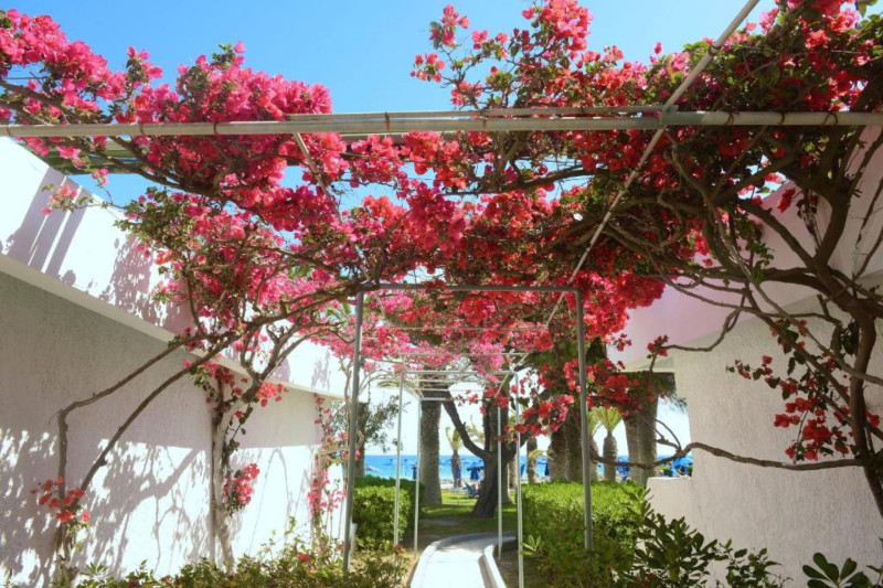 Blue Horizon Beach Resort