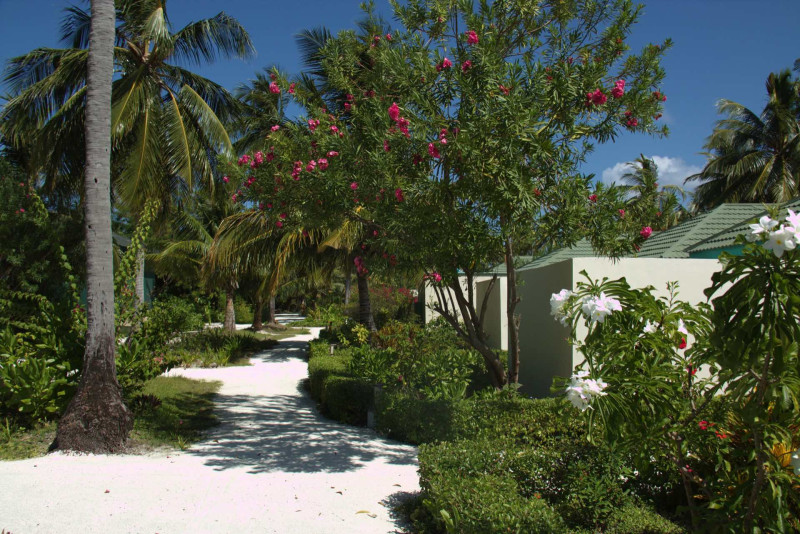 Canareef Resort Maldives