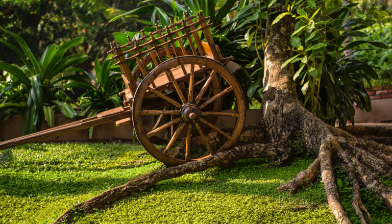 Royal Palms Beach Hotel