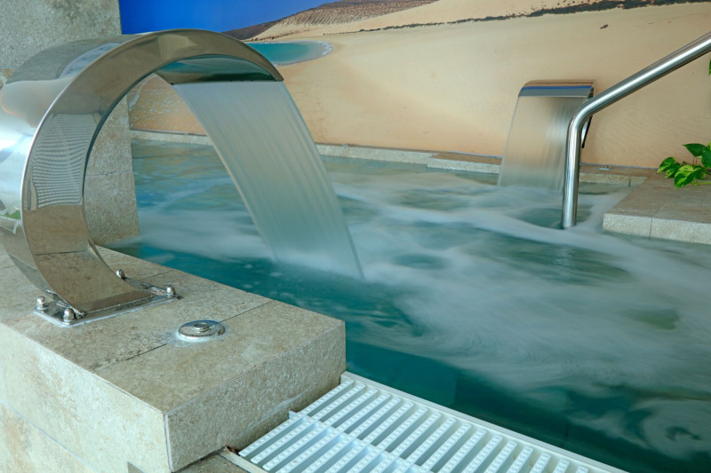 FERGUS Cactus Garden