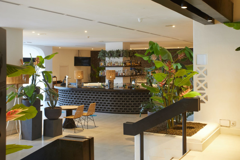 Dreams Jardín Tropical