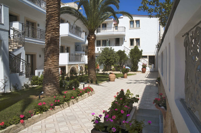 Flamingos