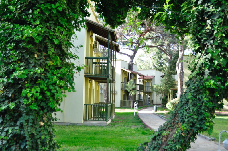 Gypsophila Club Marine